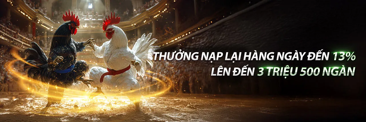Đá gà trực tuyến kịch tính tại vuabai9 casino